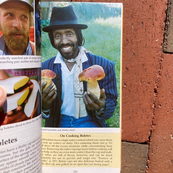 All That the Rain Promises and More Edible Mushrooms Mushie Pocket Guide Plant - Picture 1 of 13